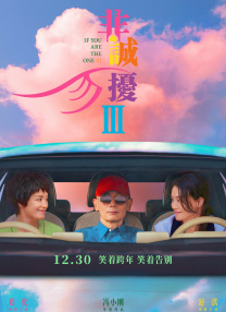 欧洲vodafonewi精品