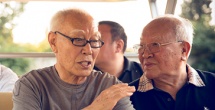 米椰子树